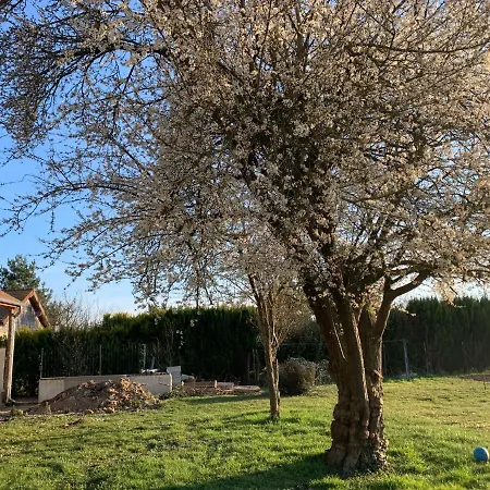 Lejlighed Le Millesime Buchères